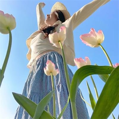 风骚律师第二季