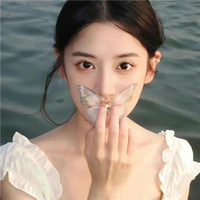 男极探射灯