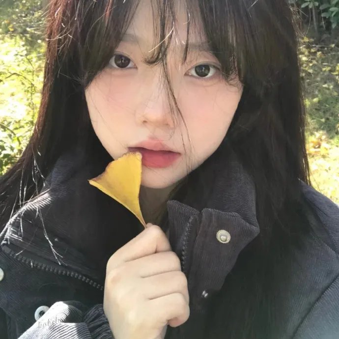 齿轮上的时空糖